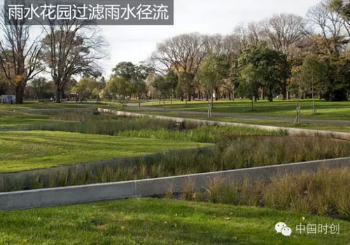 雨水花園過濾雨水徑流