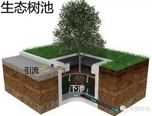 生態樹池
