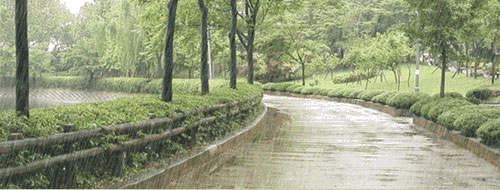 大雨滂沱